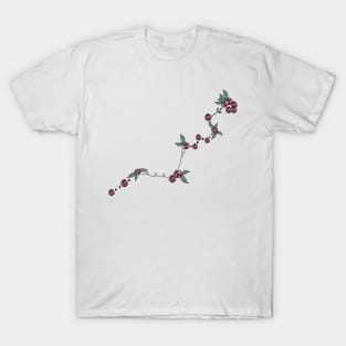 Hydra Constellation Roses and Hearts Doodle T-Shirt